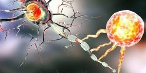 Антитела против рассеянного склероза