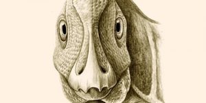 В Трансильвании нашли останки динозавра, страдавшего человеческой болезнью