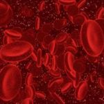Онкологи узнали, как победить смертоносный рак крови