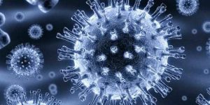 Антитела N6 способны нейтрализовать 98% ВИЧ-штаммов