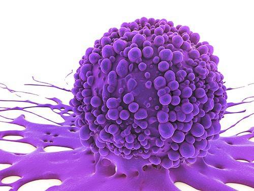 «В иммунной системе заложены большие возможности борьбы с раком»