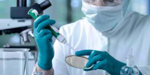 Утверждены требования к профподготовке экспертов на право проведения экспертизы биомедицинских клеточных продуктов