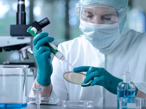 Утверждены требования к профподготовке экспертов на право проведения экспертизы биомедицинских клеточных продуктов