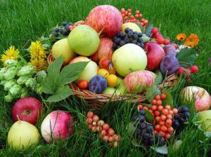 Полезны ли красивые яблоки
