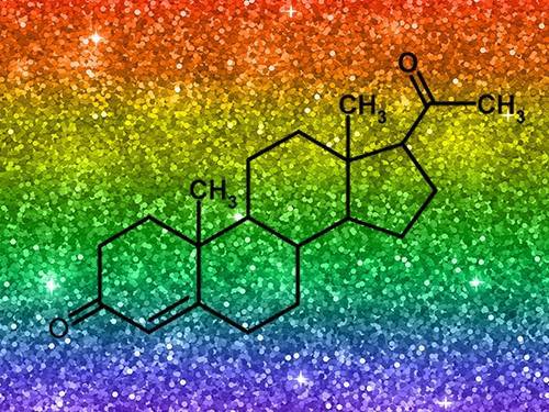 Прогестерон и бисексуальность: совпадение?