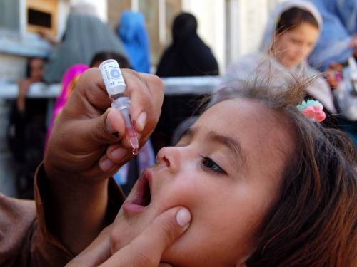 Правительство выделило почти 1,2 млрд рублей на закупку вакцины для профилактики полиомиелита