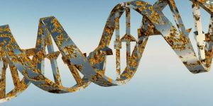 Создан первый каталог генетических мутаций, связанных с аутоиммунными болезнями