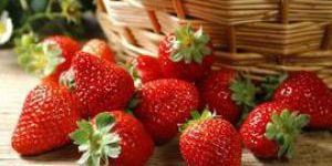 Обильное употребление овощей и фруктов снижает вероятность развития рака прямой кишки