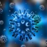 Лимфоциты сделали неуязвимыми для ВИЧ инфекции