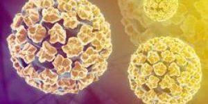 Шведские ученые разработали молекулу, уничтожающую клетки рака толстой кишки