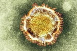Ученые научились лечить коронавирус