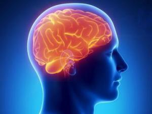 Медики разработали новый способ, восстанавливающий функции мозга