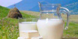 Можно ли пить молоко на ночь на диете
