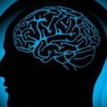 Исследование показало, как мозг стирает воспоминания