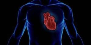 Популярный антибиотик провоцирует остановку сердца — исследование