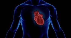 Популярный антибиотик провоцирует остановку сердца - исследование