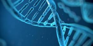 Вирусные «окаменелости» в нашей ДНК помогают бороться с инфекциями