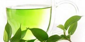 Зеленый чай борется с последствиями западной диеты