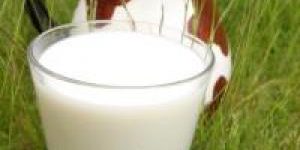 Молочные продукты могут разрушить мозг