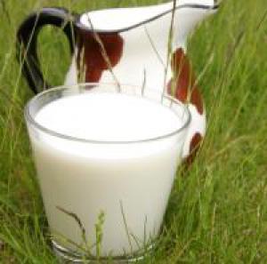 Диетологи объяснили опасность нежирных молочных продуктов