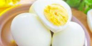 Обнаружено удивительное свойство куриных яиц
