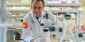 Американские ученые обнаружили новый биомаркер глиомы
