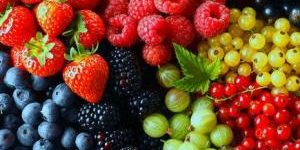 Целебные свойства ягод и листьев черники