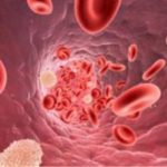 Предсказание рака по капле крови