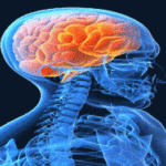 Мозг пожилых людей способен блокировать негативные воспоминания