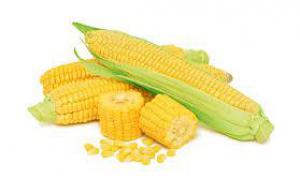 Польза овощей: кукуруза