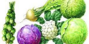 Польза овощей: капуста